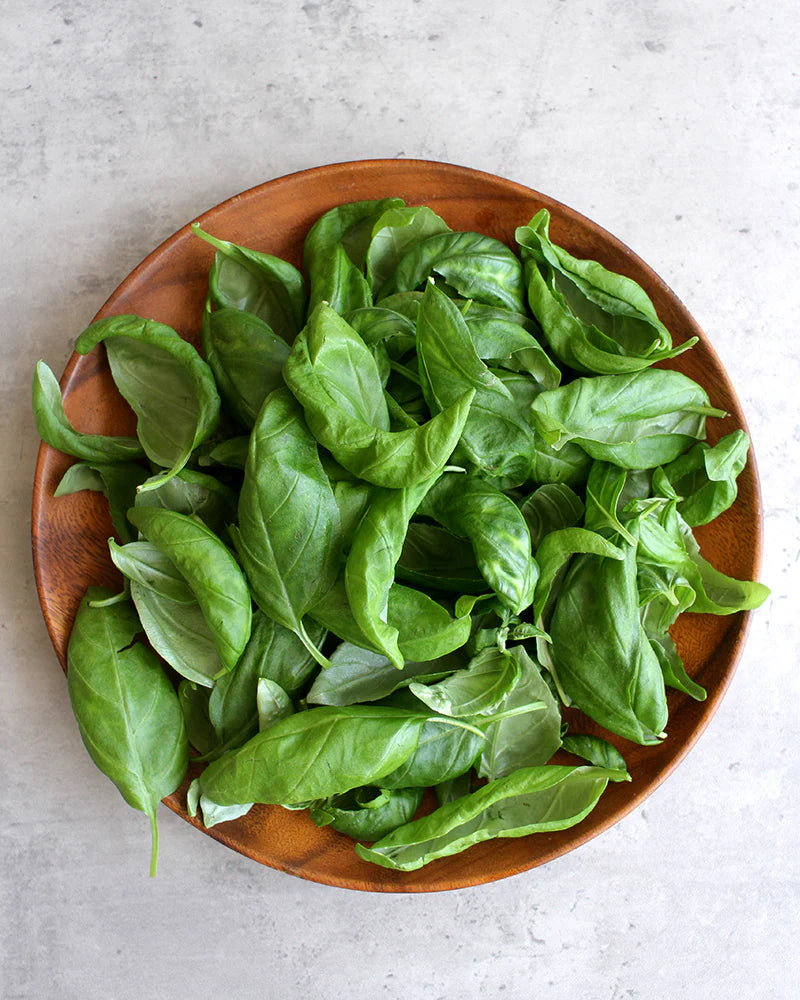 بذور الريحان الجنوفي الإيطالي