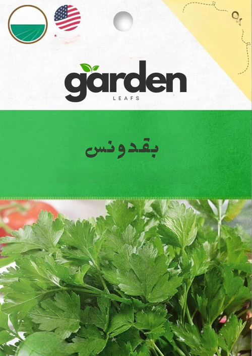 بذور البقدونس