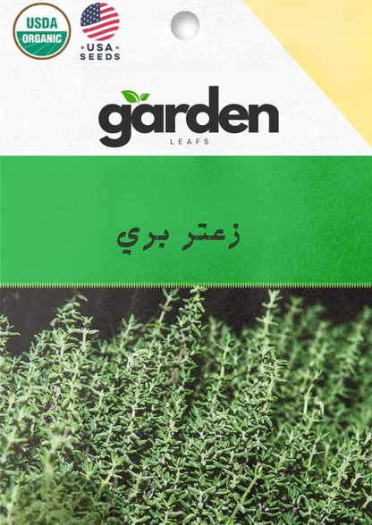 بذور الزعتر البري