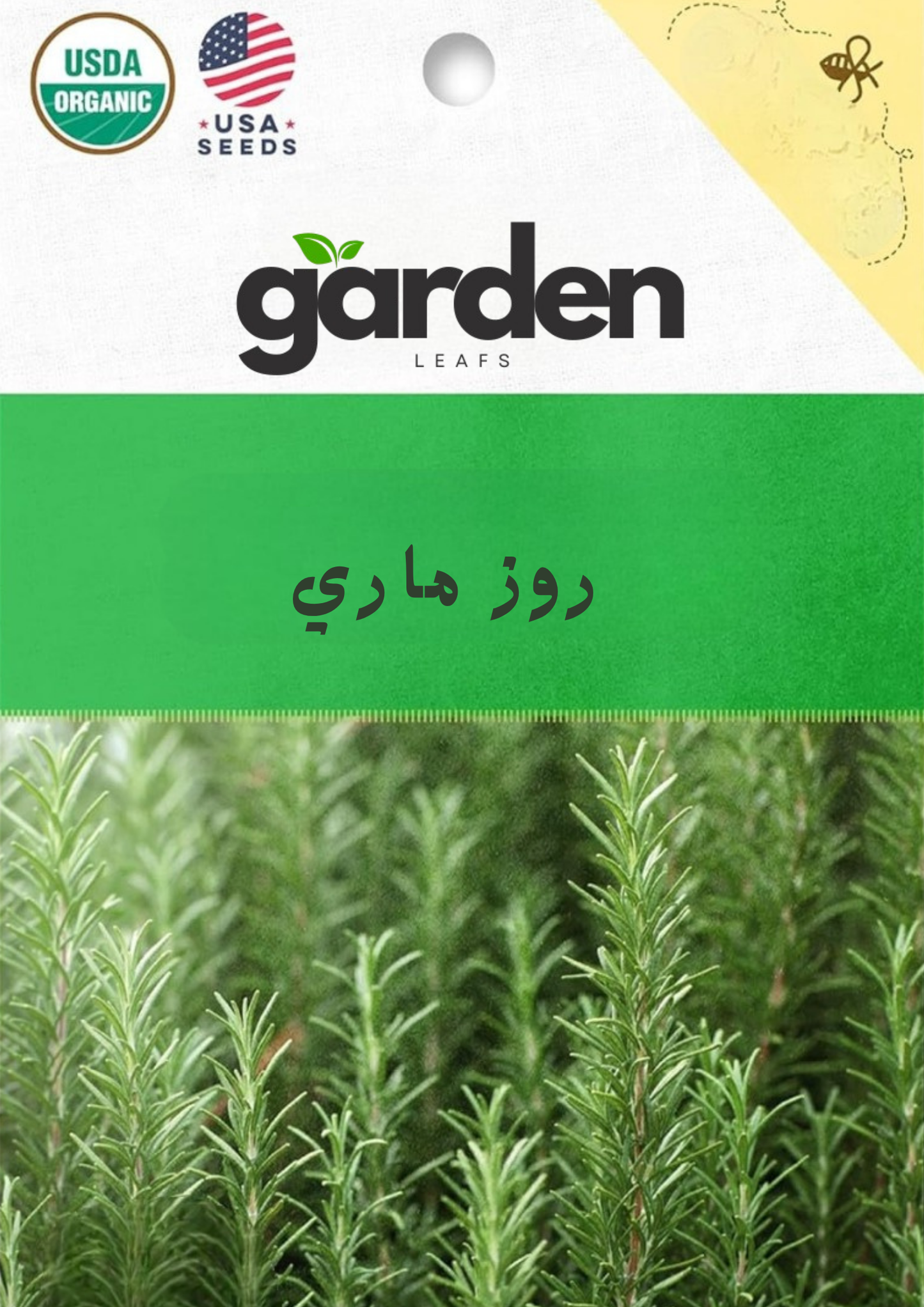 بذور الروزماري - إكليل الجبل