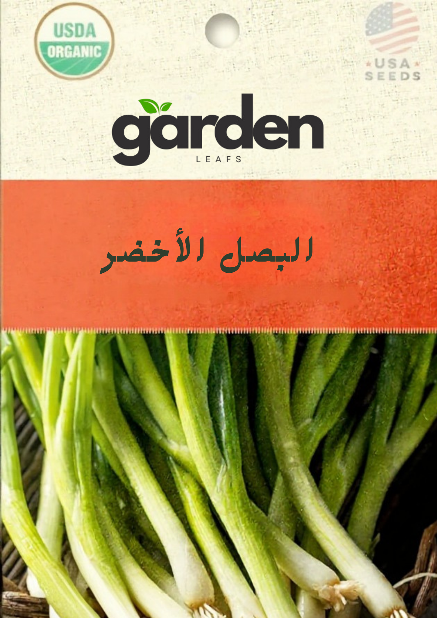 بذور بصل نيبُوكا