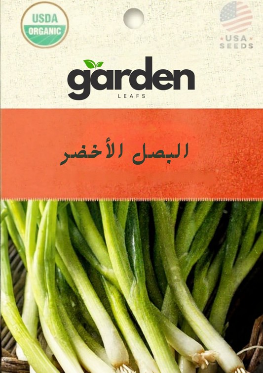 بذور بصل نيبُوكا