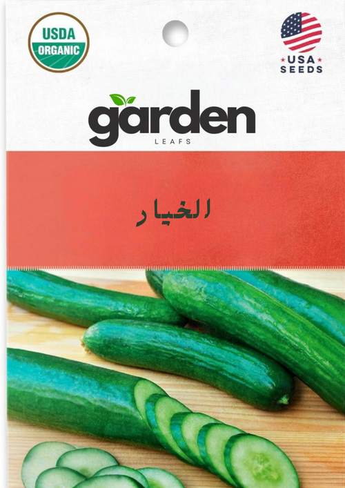 بذور الخيار