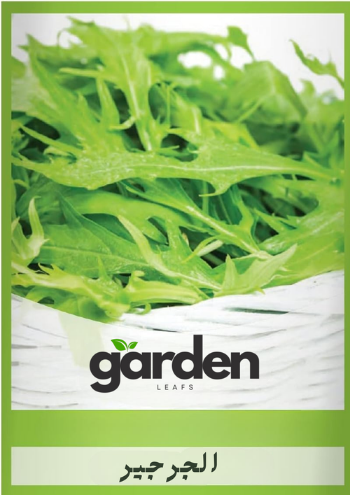 بذور الجرجير