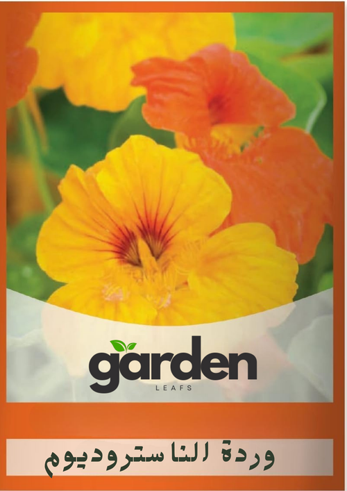 بذور وردة الناستروديوم