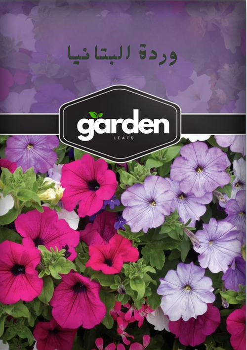 بذور وردة البيوتنيا