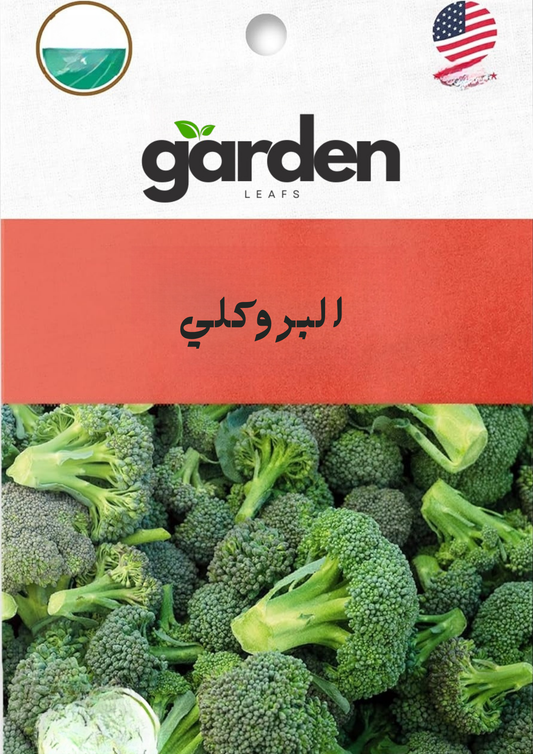 بذور البروكلي