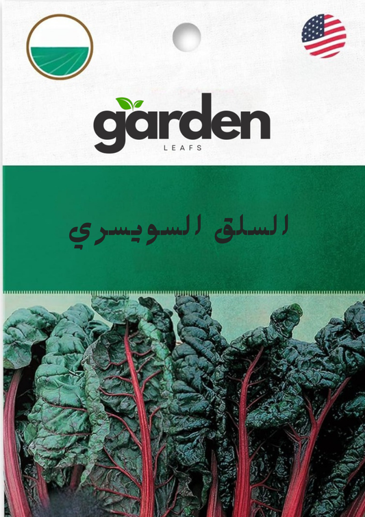 بذور السلق السويسري