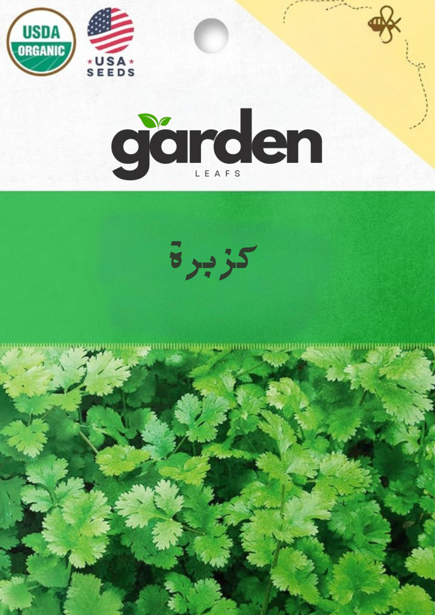 بذور الكزبرة