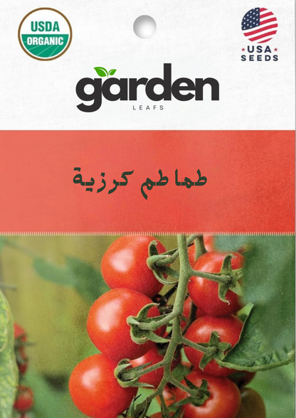 بذور الطماطم الكرزية