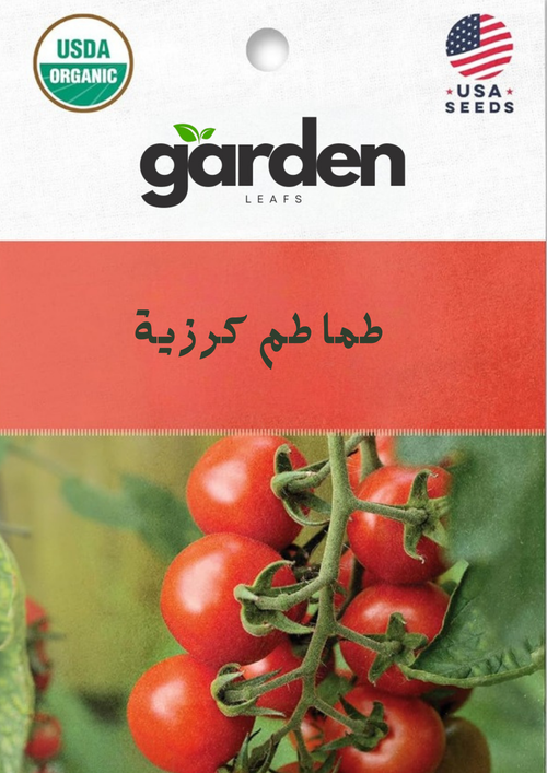 بذور الطماطم الكرزية