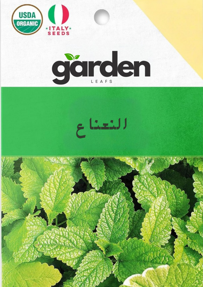 بذور النعناع