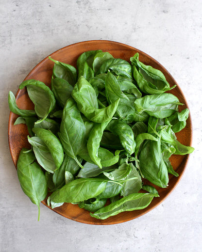 بذور الريحان الجنوفي الإيطالي