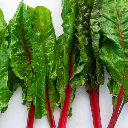 بذور السلق السويسري